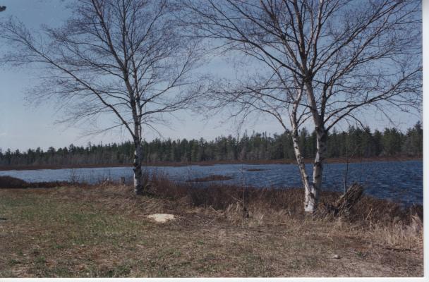 Cabin pond (608x400)