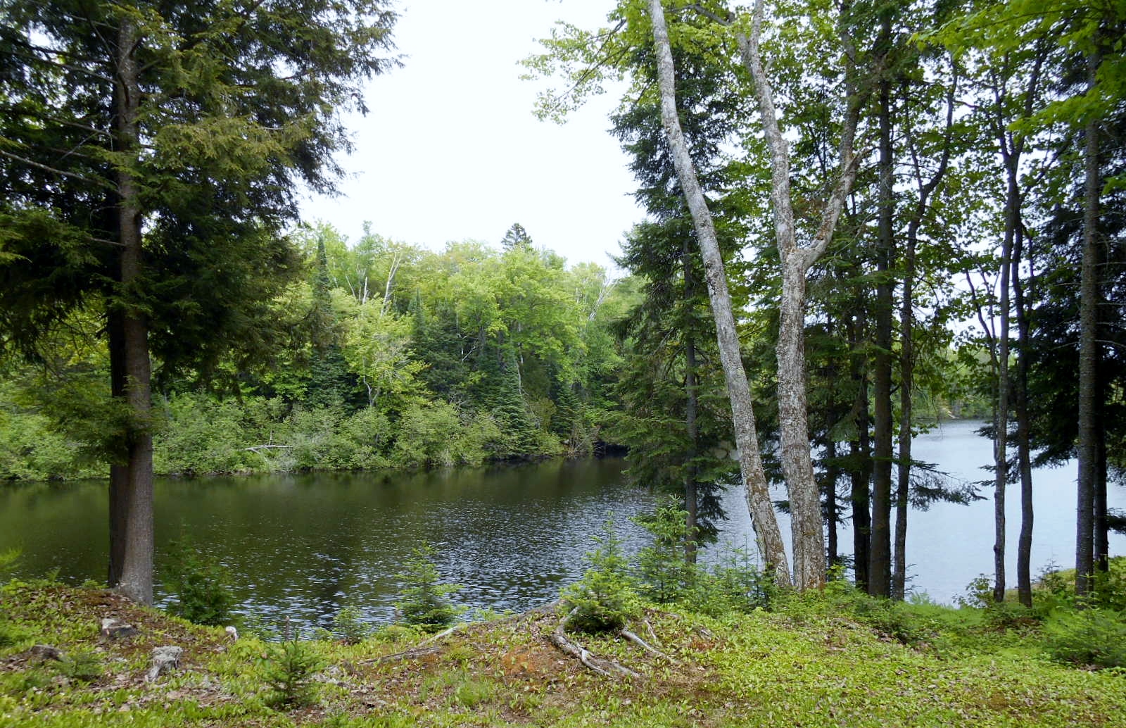 DSCN0313