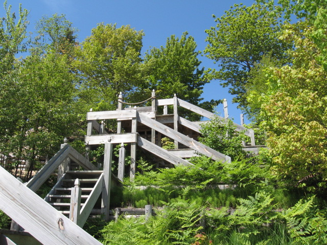 IMG_1984 (640x480)