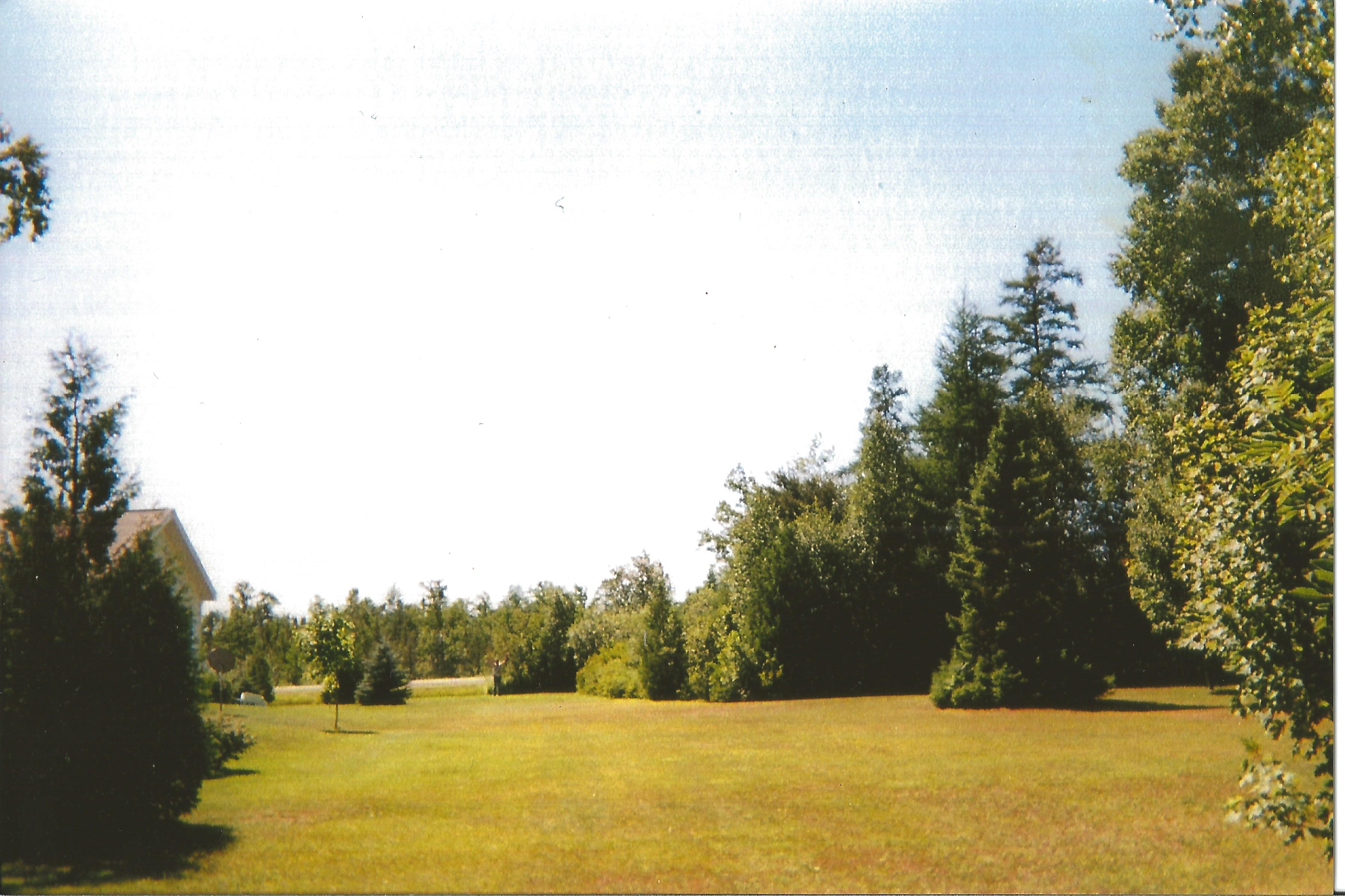 Scanned photo 1