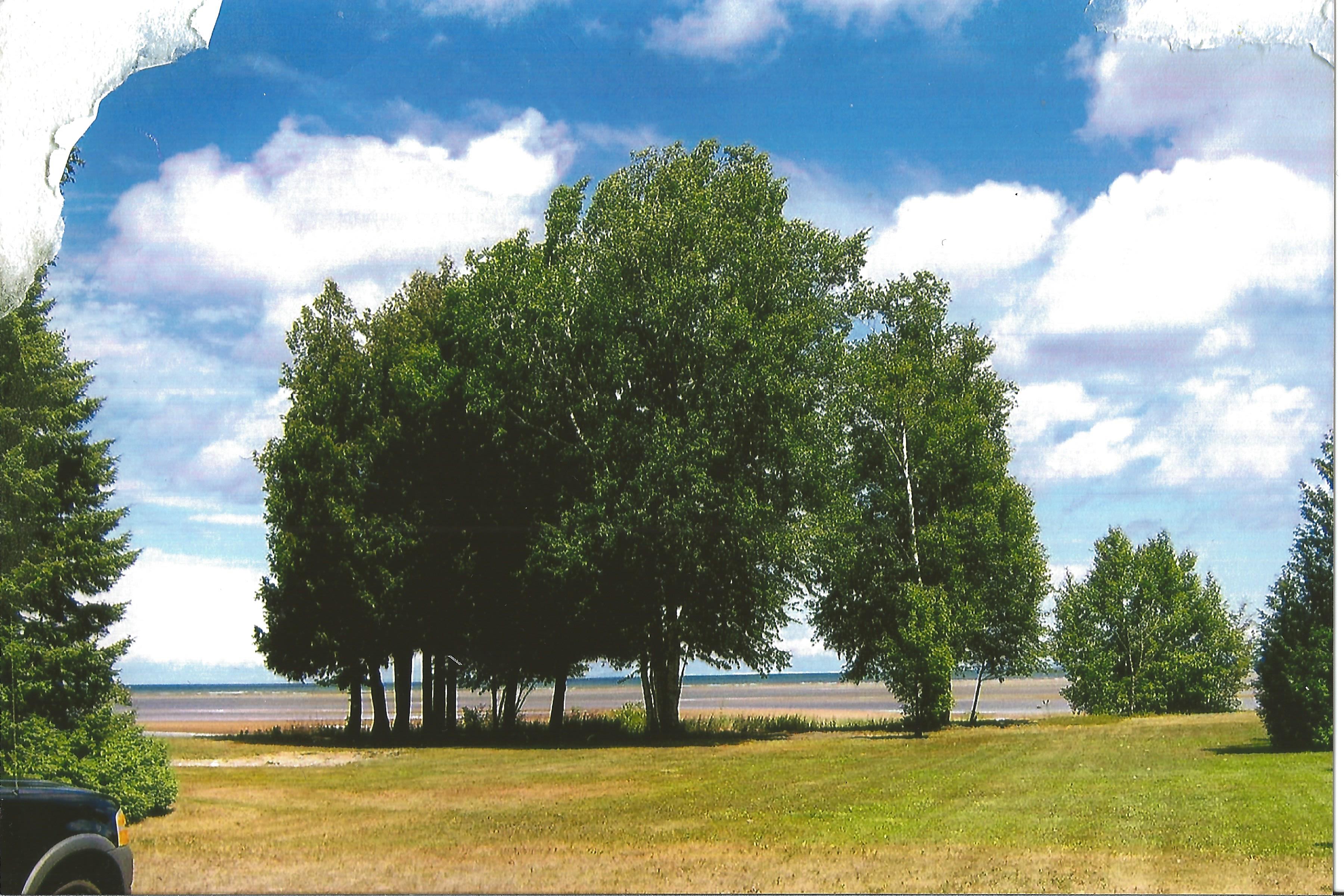 Scanned photo 2