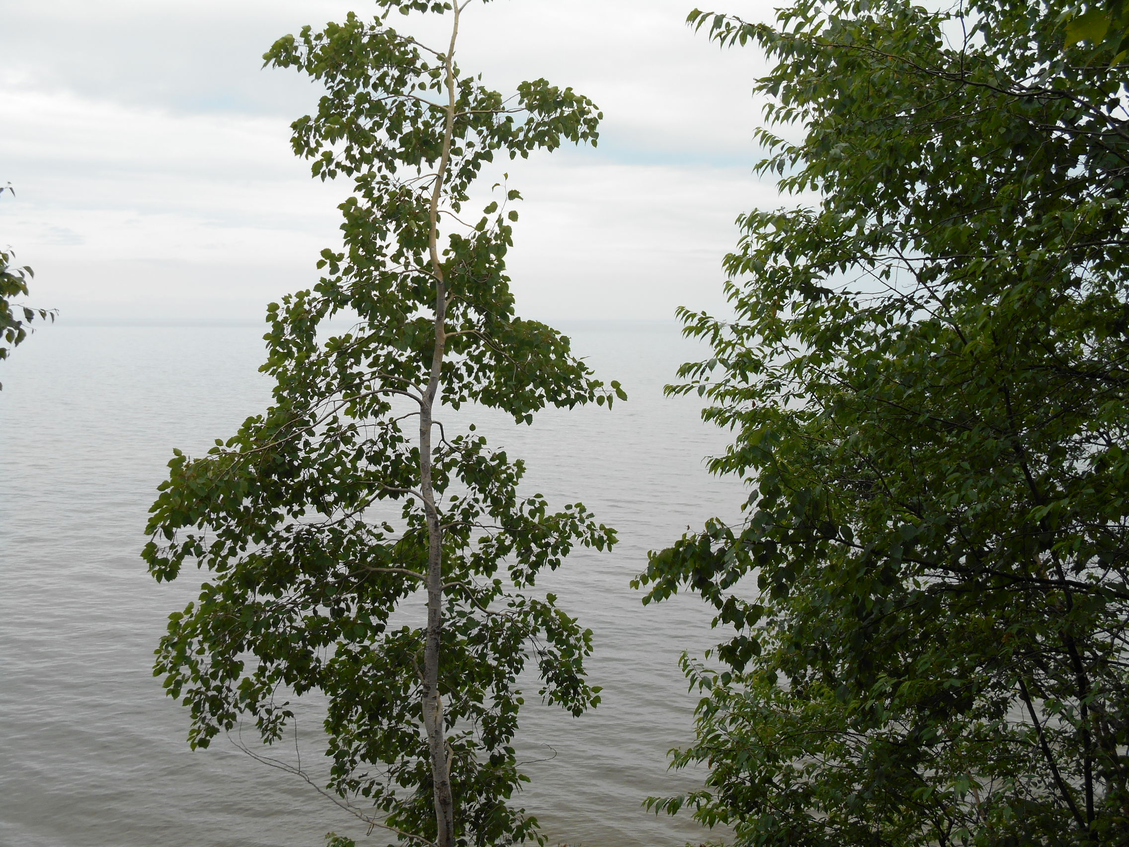 DSCN0551