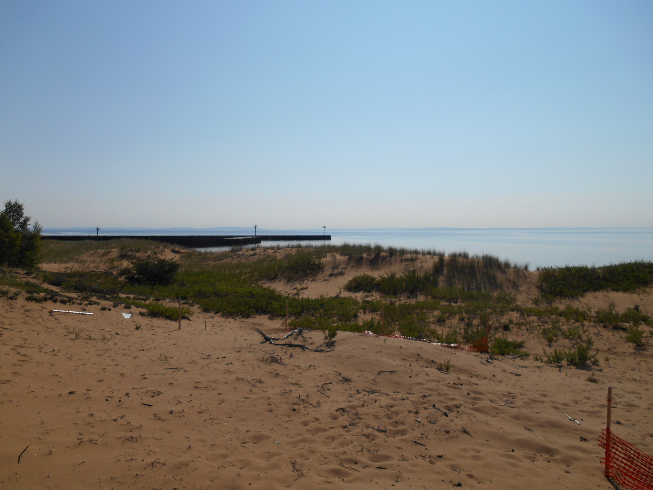 DSCN0620