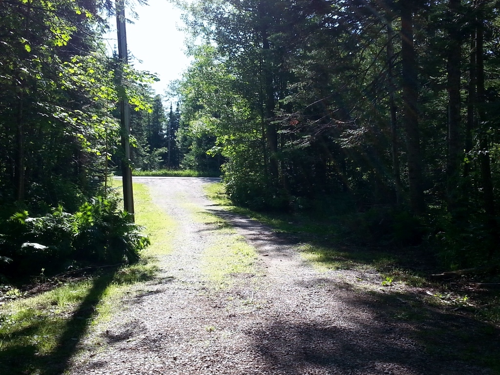 20150720_175601 (1024x768)