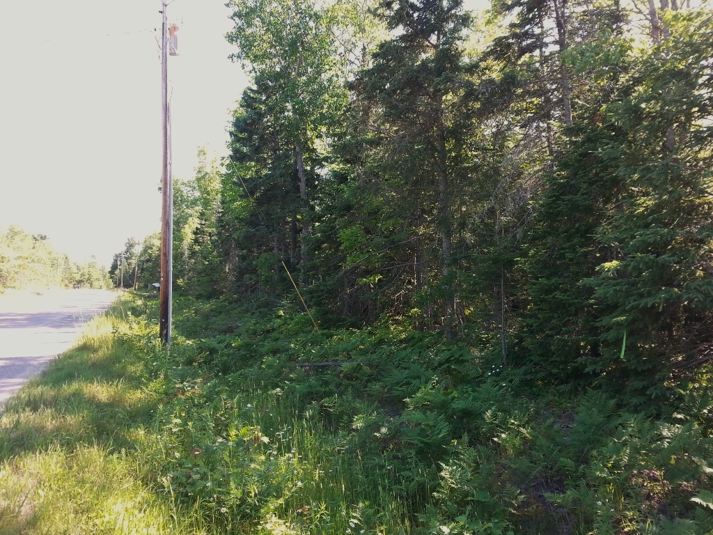 20150723_170753 (1024x768)