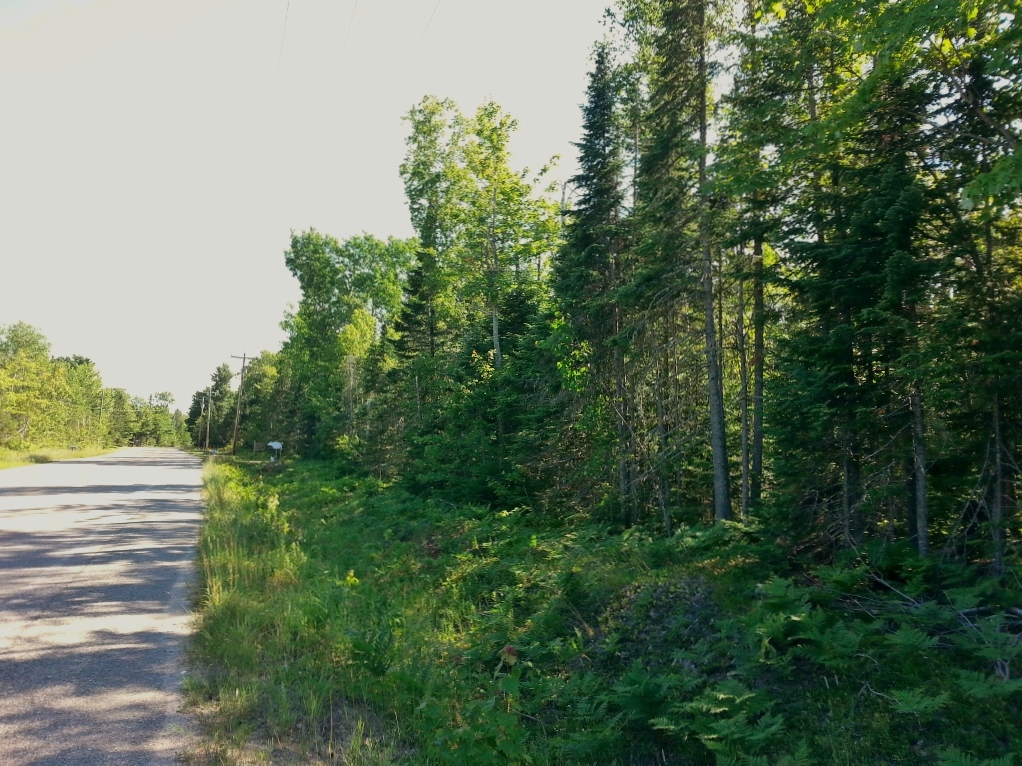 20150723_170825 (1024x768)