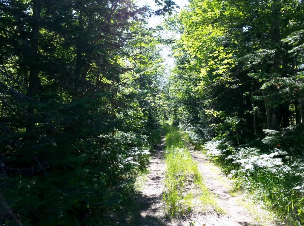 20150723_171024 (1024x768)