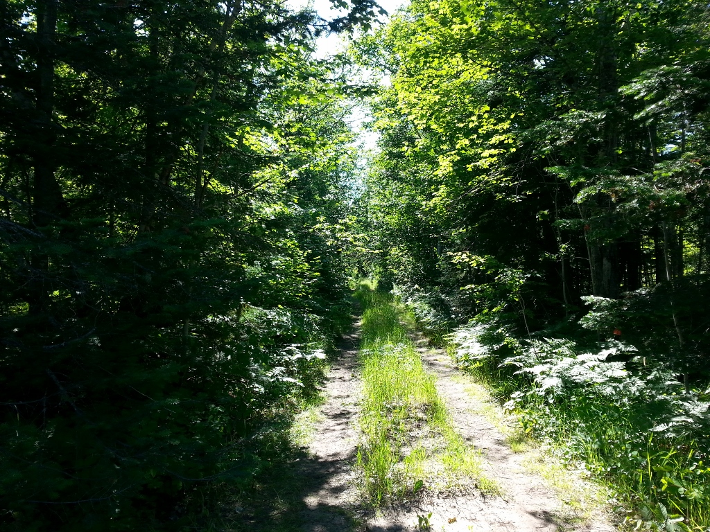 20150723_171032 (1024x768)
