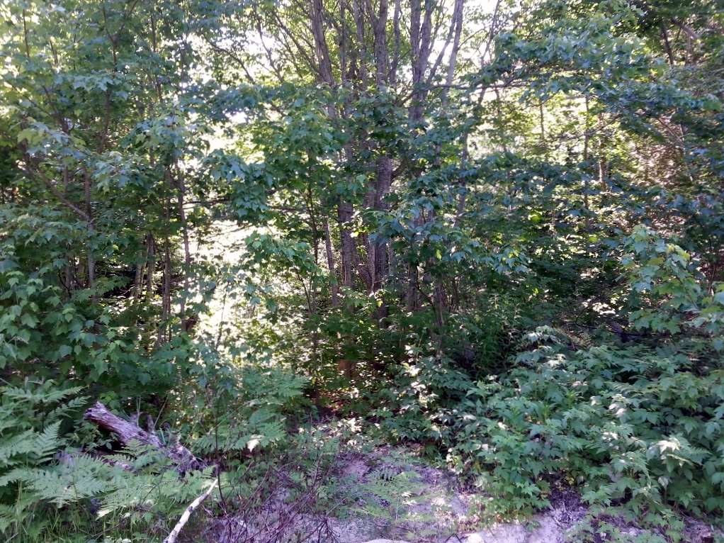 20150723_171217 (1024x768)