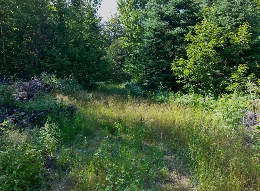 20150723_171343 (1024x768)