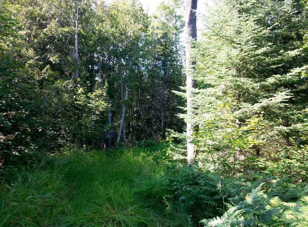 20150723_171411 (1024x768)