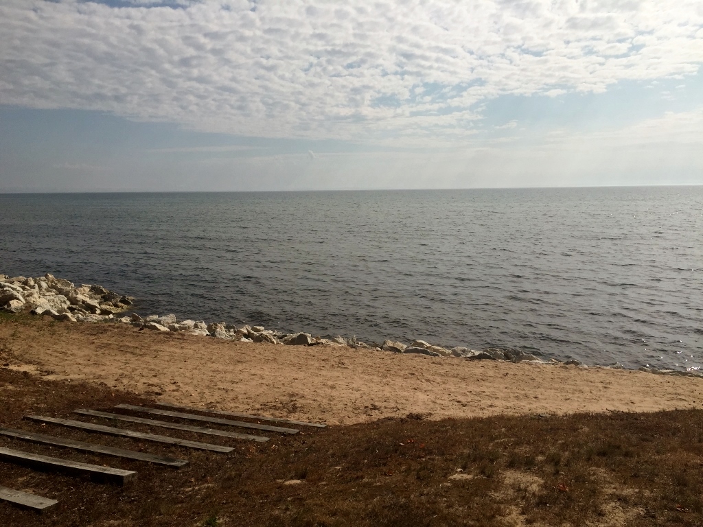 IMG_0795 (1024x768)
