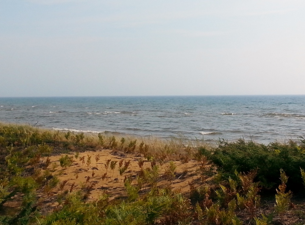 20150906_113323 (1024x768)