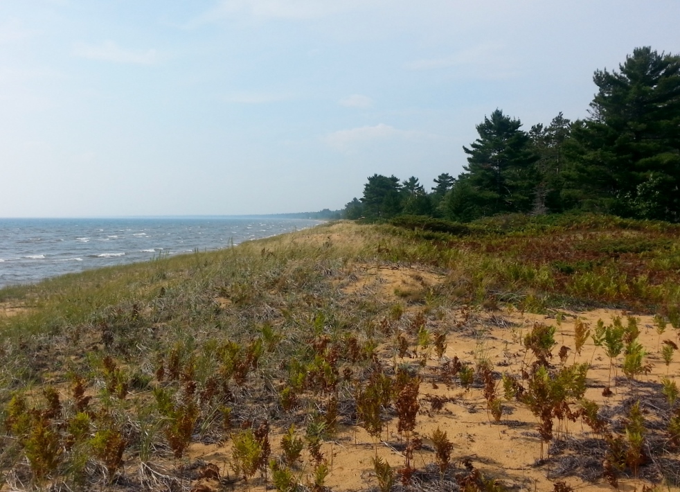 20150906_113418 (1024x768)