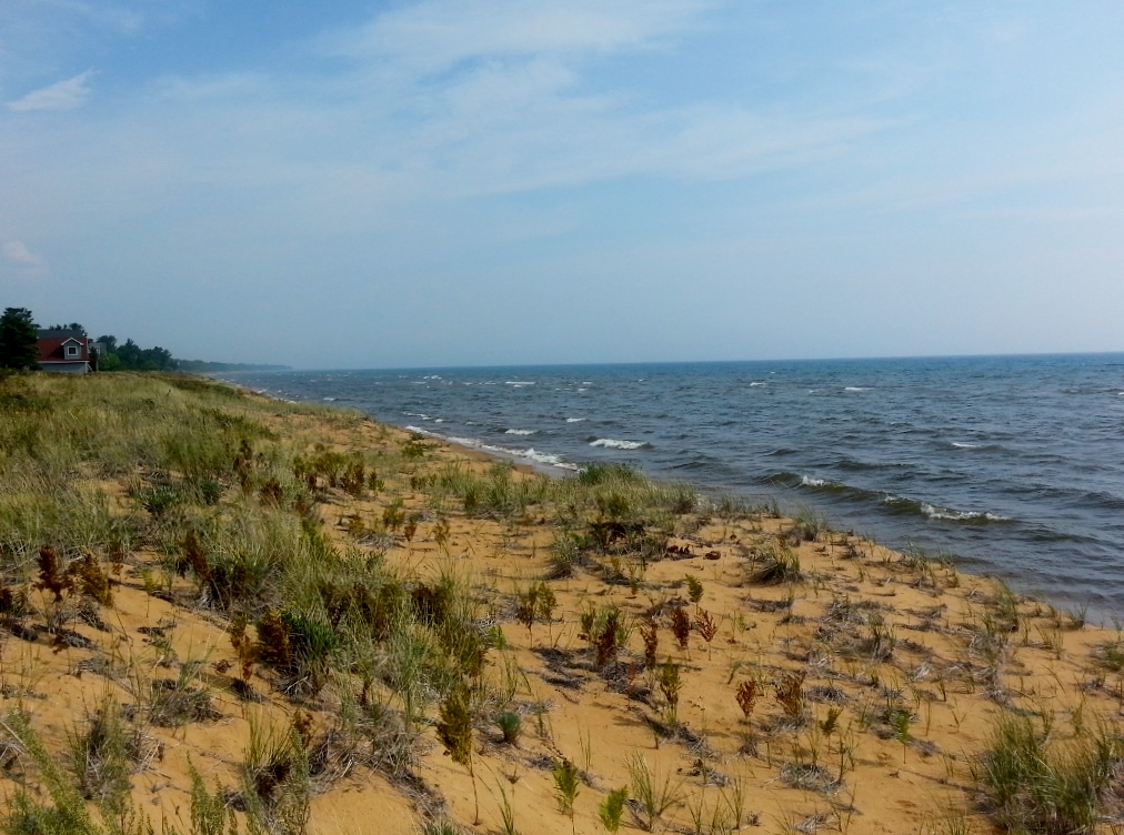 20150906_113426 (1024x768)