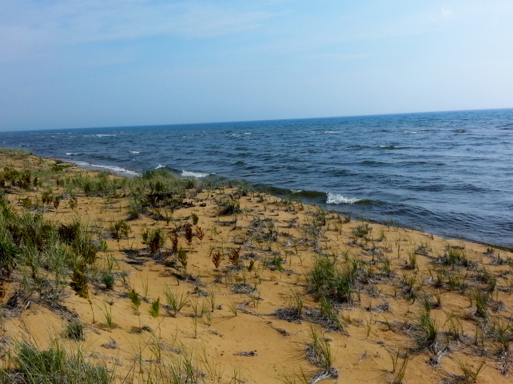 20150906_113430 (1024x768)