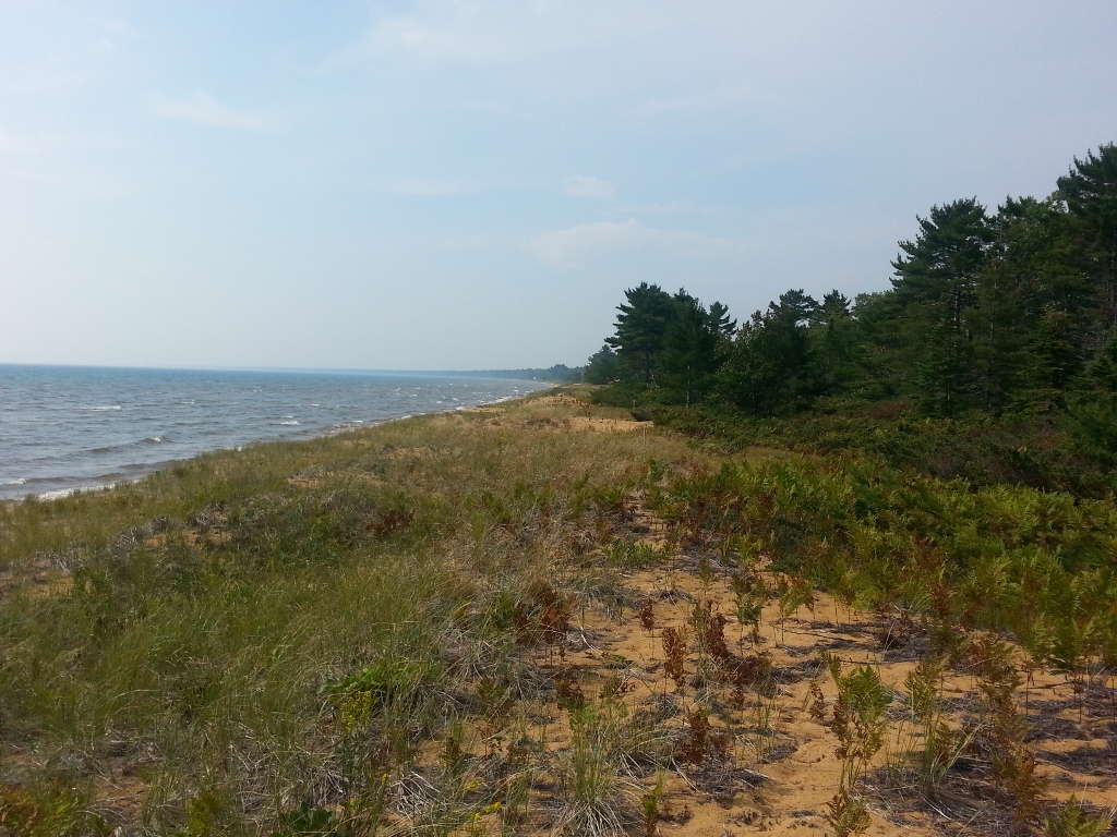 20150906_113527 (1024x768)