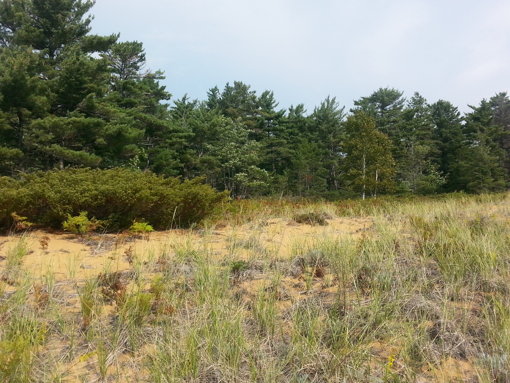 20150906_113540 (1024x768)