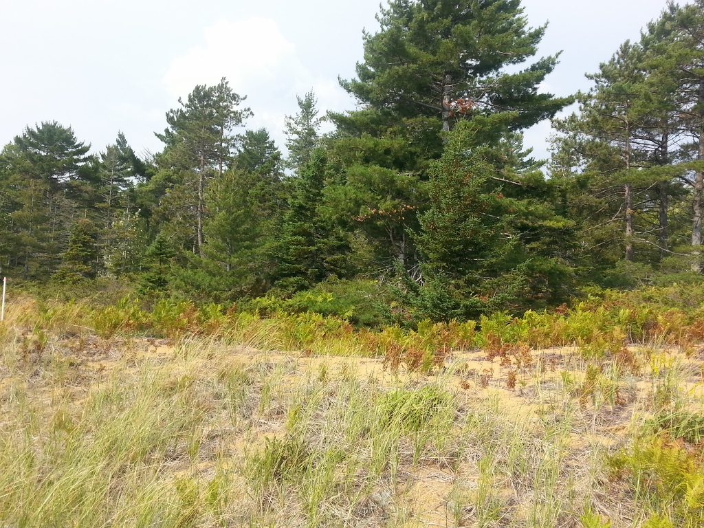 20150906_113544 (1024x768)