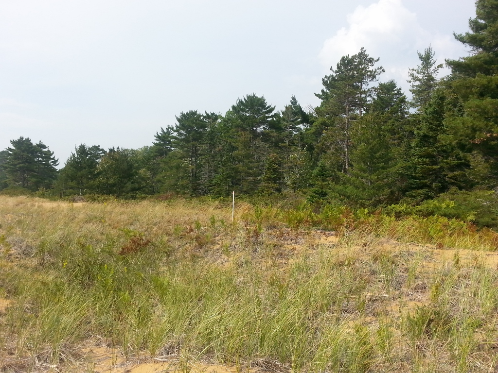 20150906_113548 (1024x768)