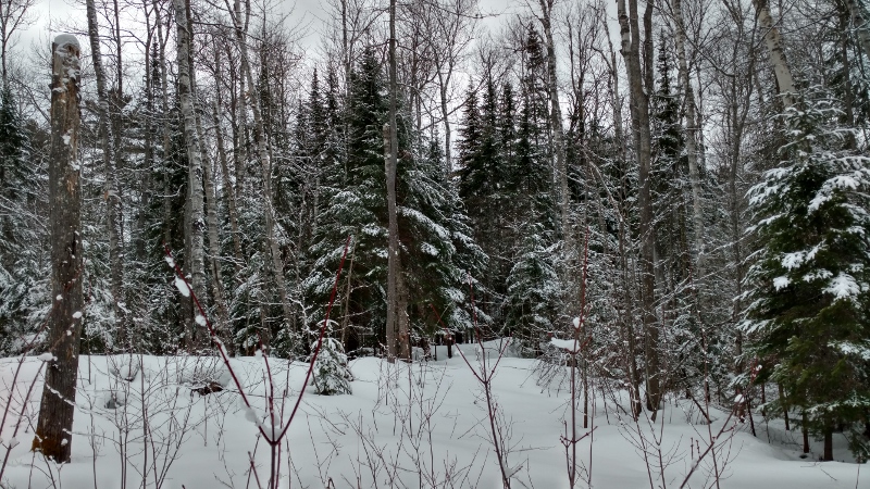 IMG_20160412_133131704_HDR (800x450)