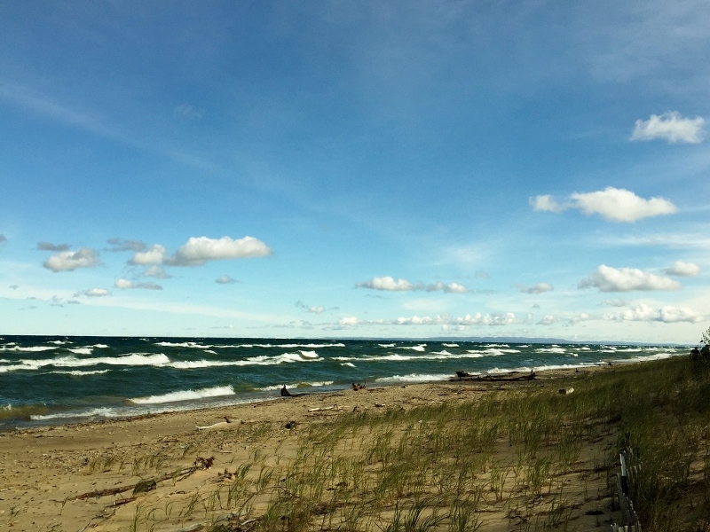IMG_1104 (1024x768) (800x600)