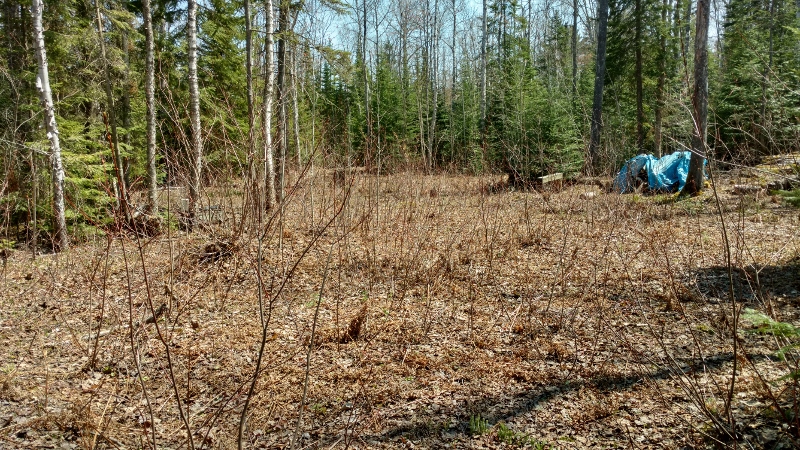 100 (800x450)