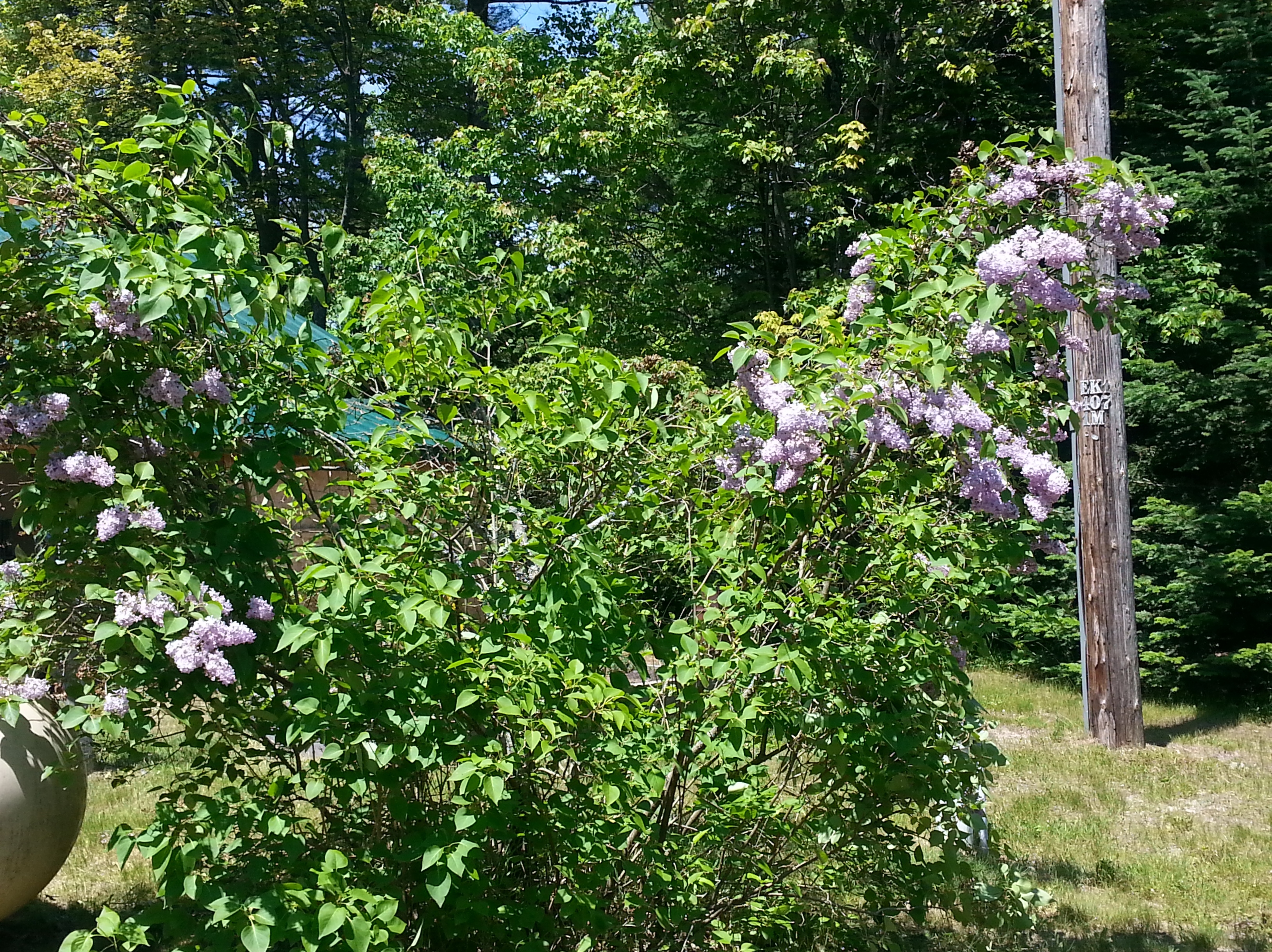 20150624_135116