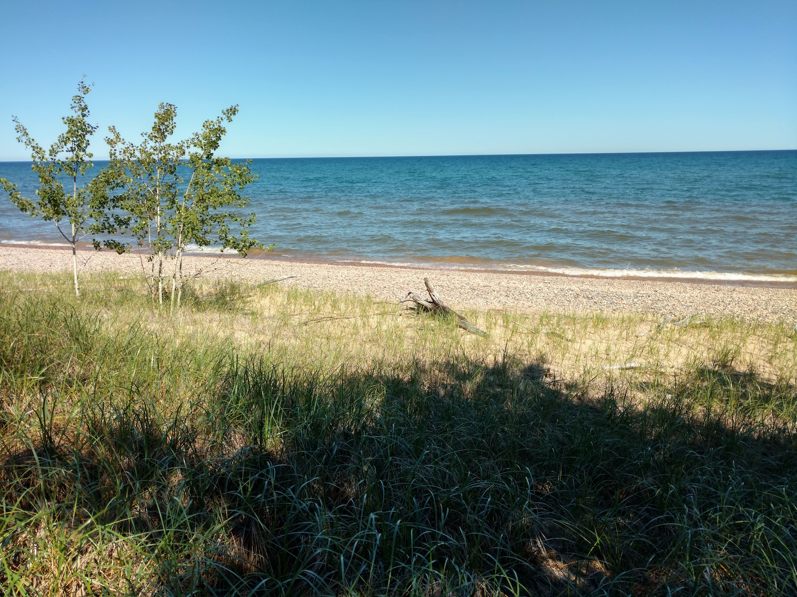 IMG_20170724_111532584_HDR