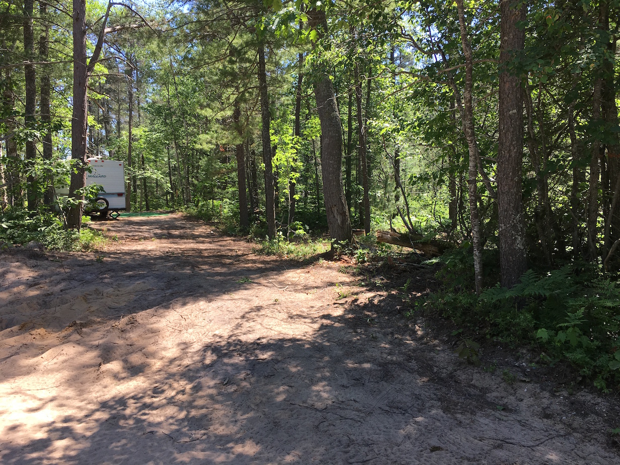 7793666D-9078-4381-901A-8B5945DC60D2