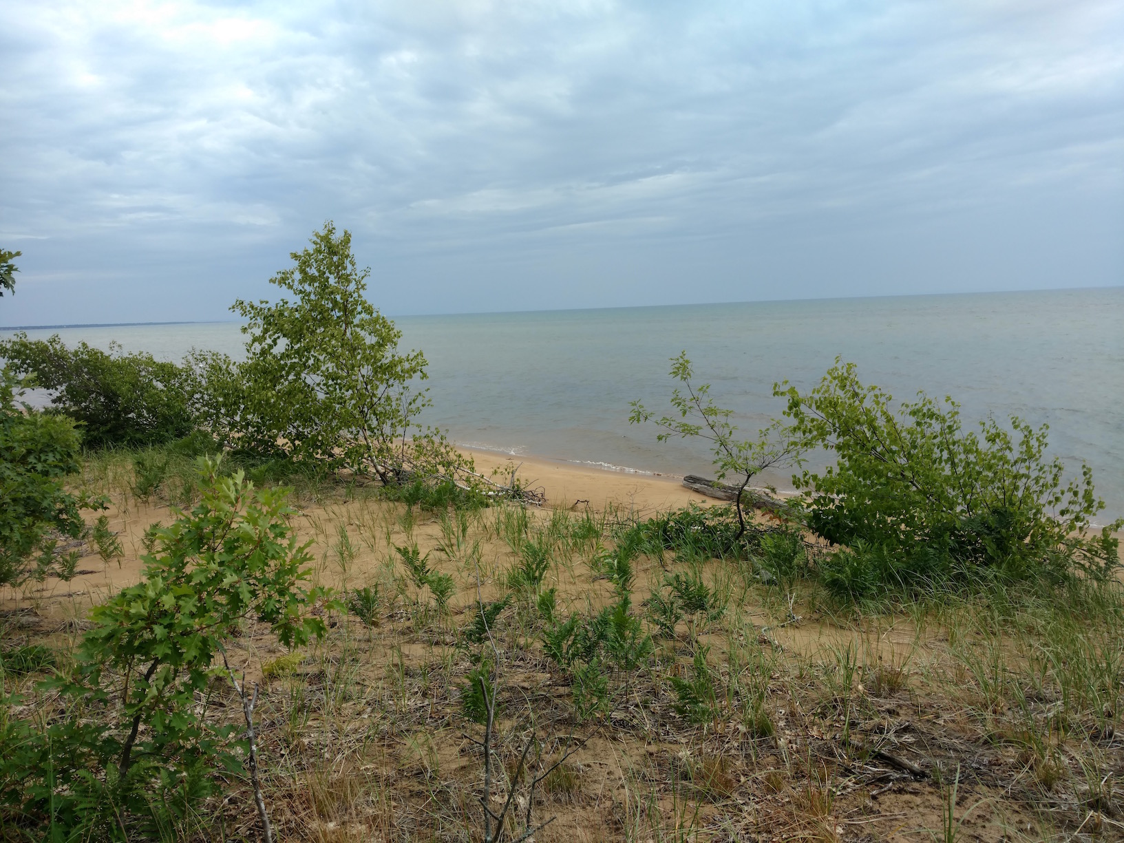 IMG_20180712_140042617_TOP