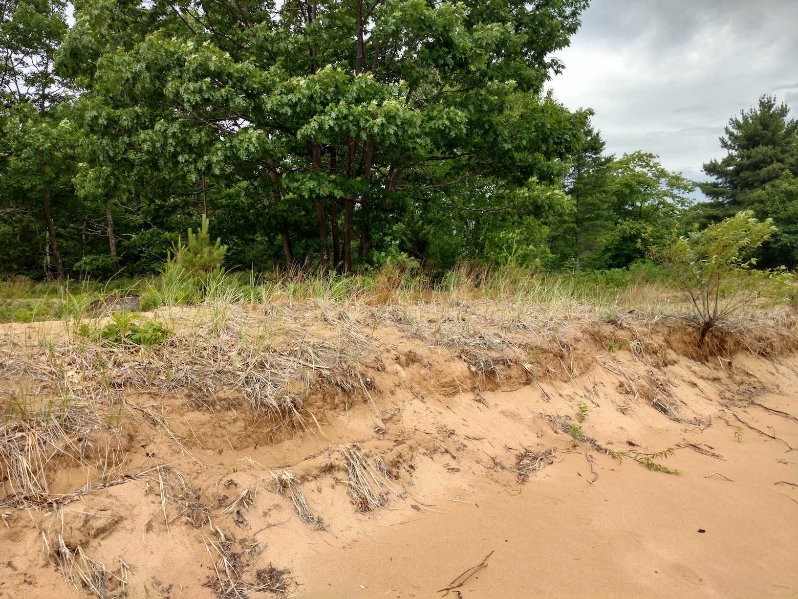 IMG_20180712_140137683_HDR