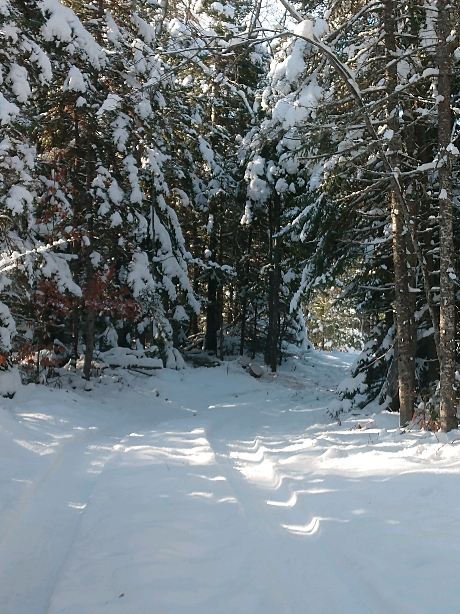 IMG_20181115_134309912