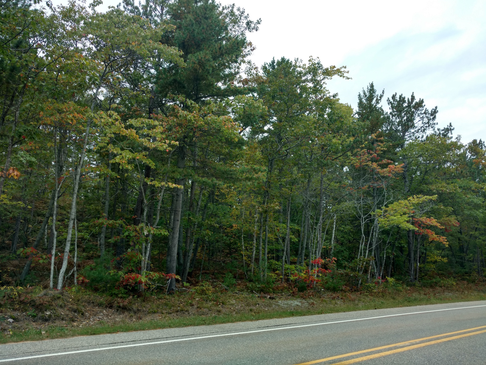IMG_20161014_123003868_HDR