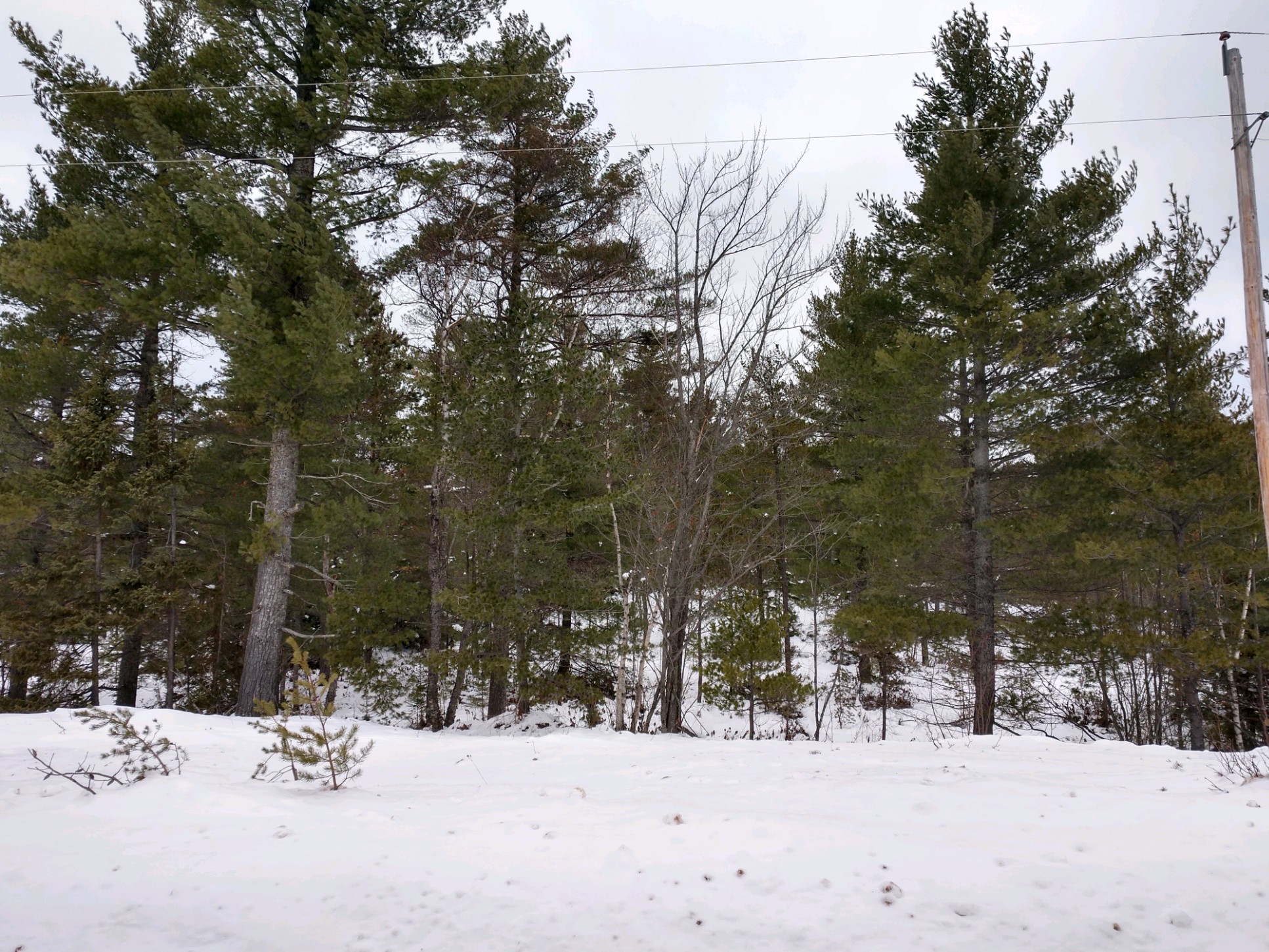 IMG_20181212_145736023_HDR