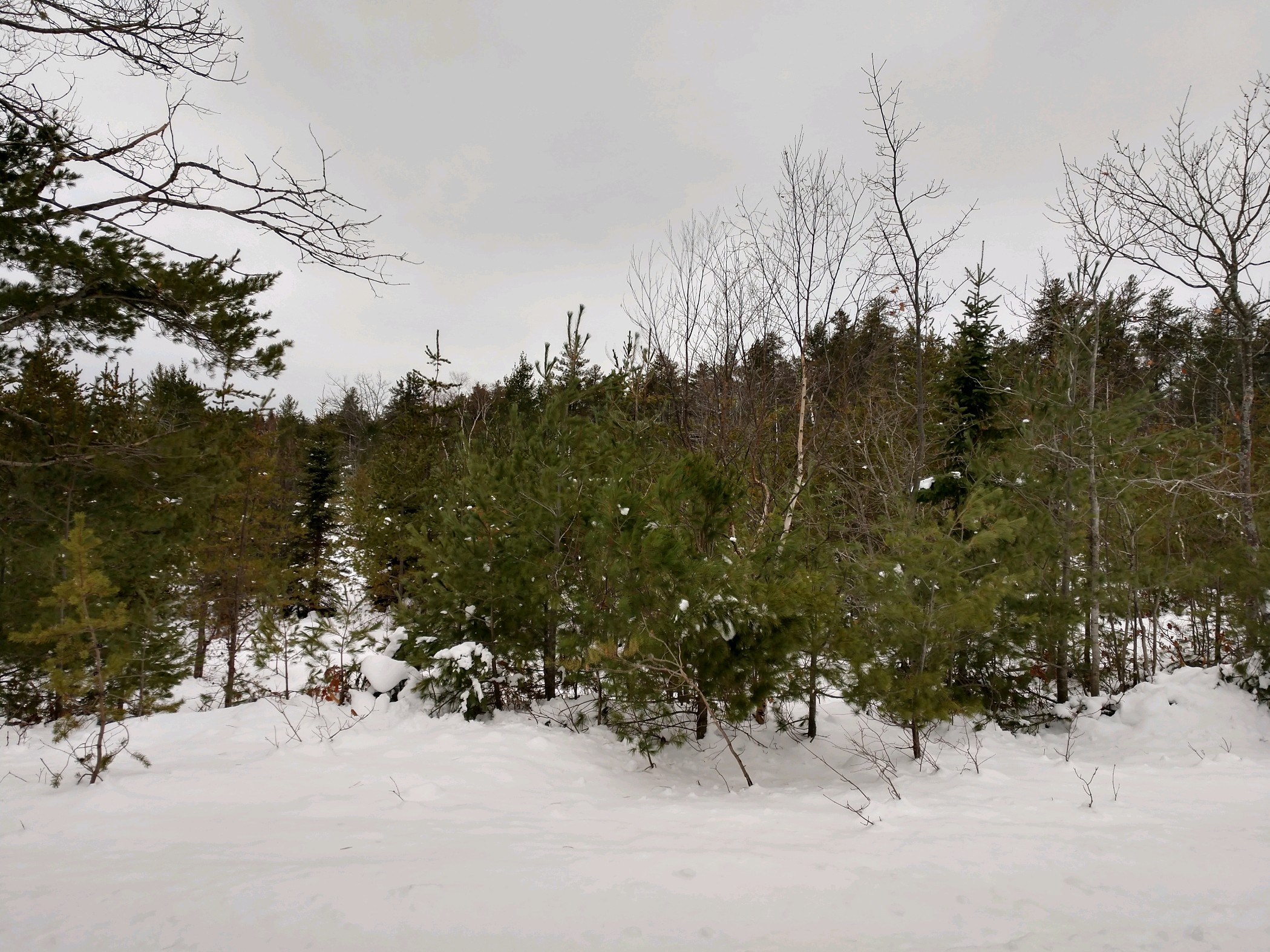 IMG_20181212_145807179_HDR