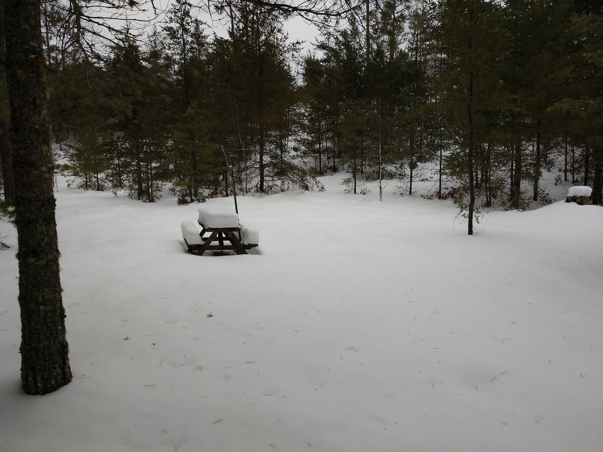 IMG_20181227_153734533