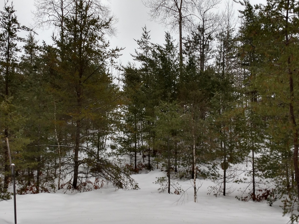 IMG_20181227_153742472_HDR