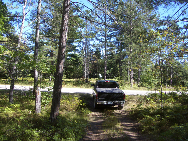 TrailOut