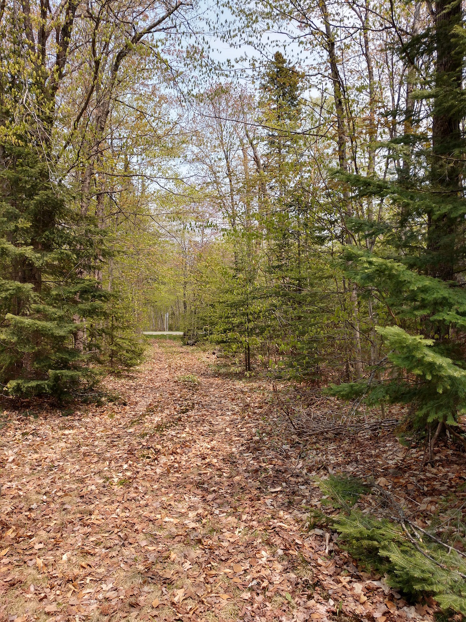 IMG_20190531_140255859_HDR