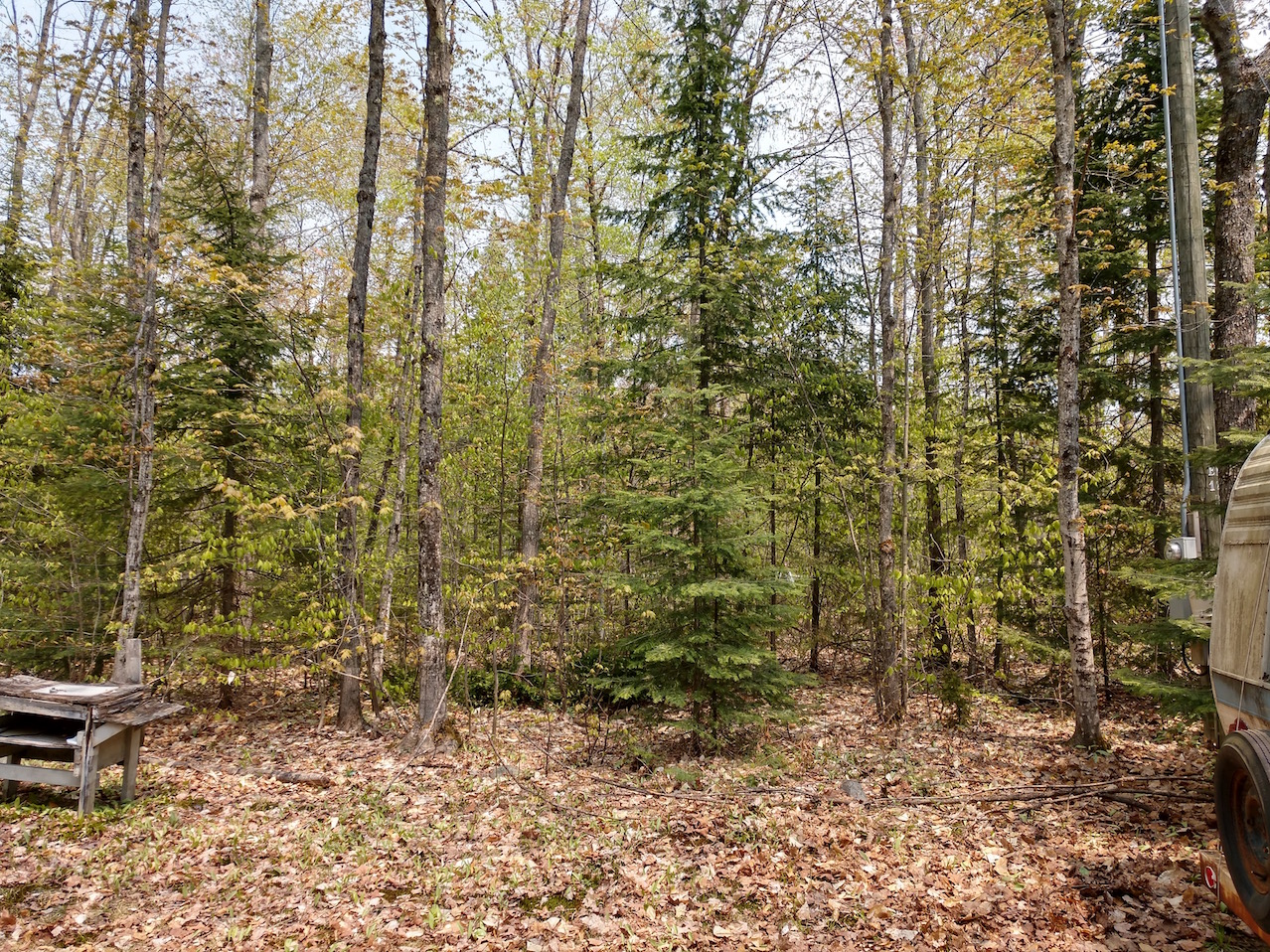 IMG_20190531_140326131_HDR