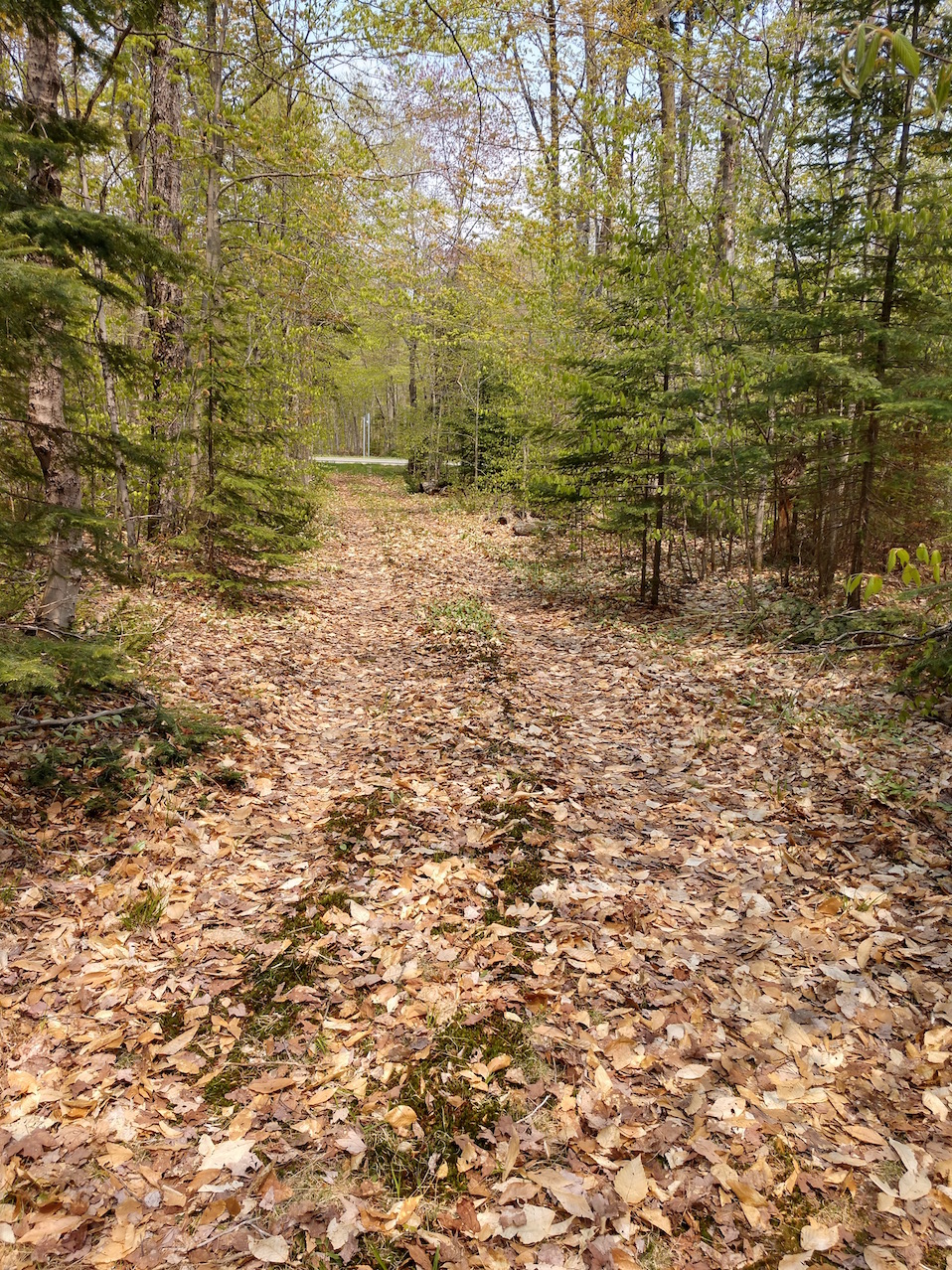 IMG_20190531_141200605_HDR