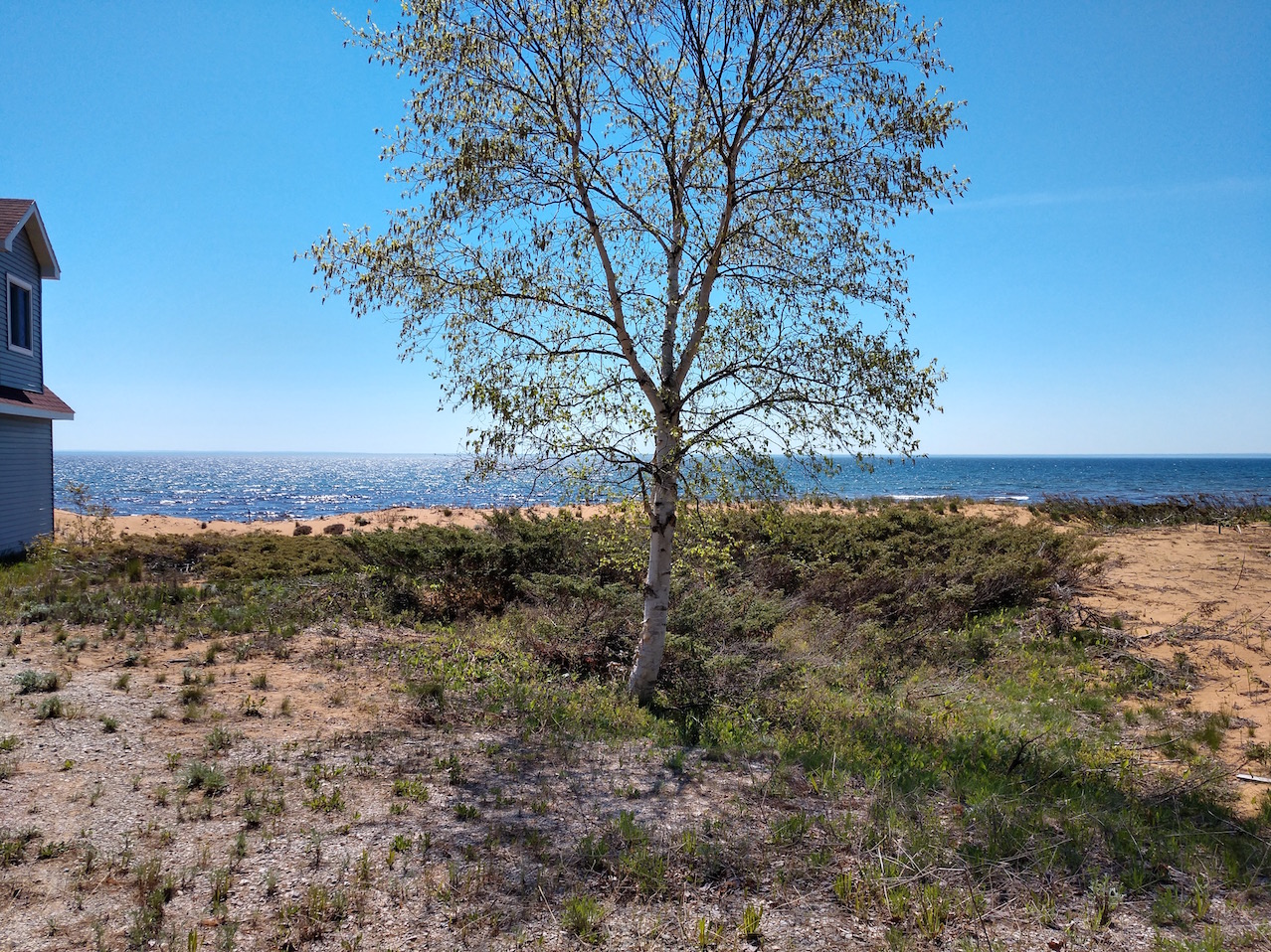 IMG_20190608_114032611_HDR