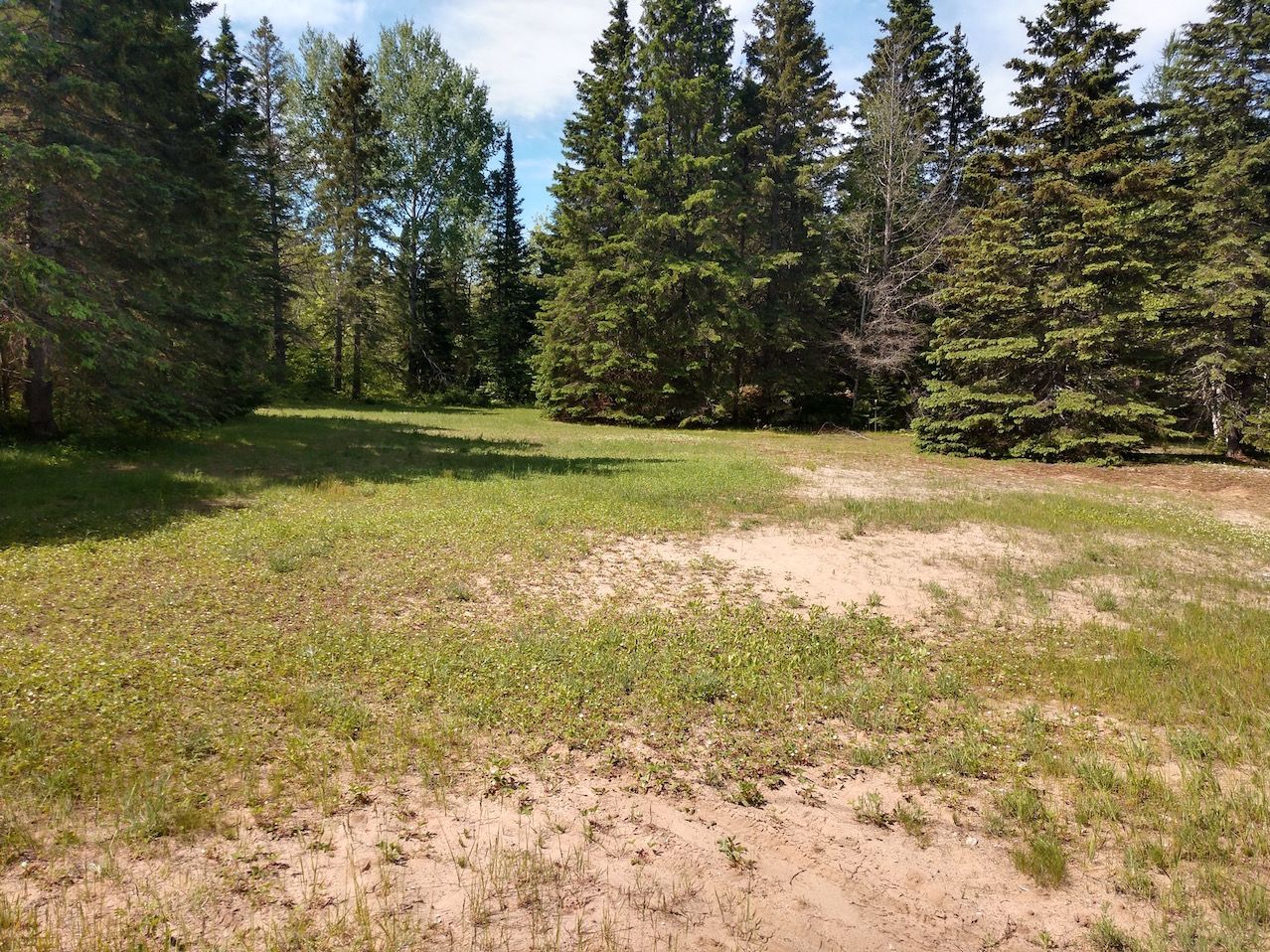 IMG_20190614_112531441_HDR