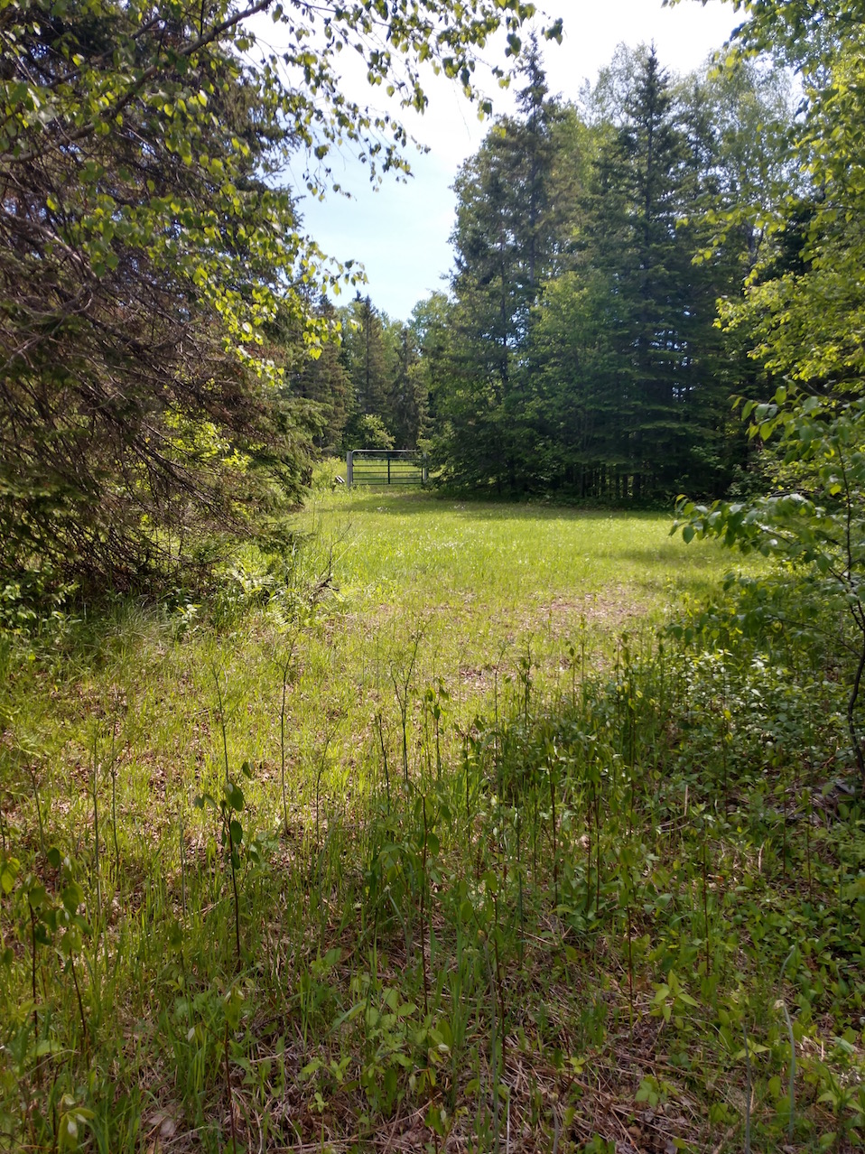 IMG_20190614_113233181_HDR