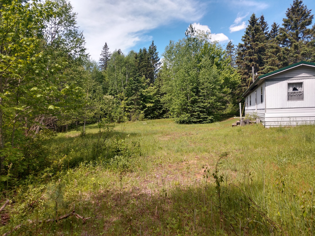 IMG_20190614_113240153_HDR