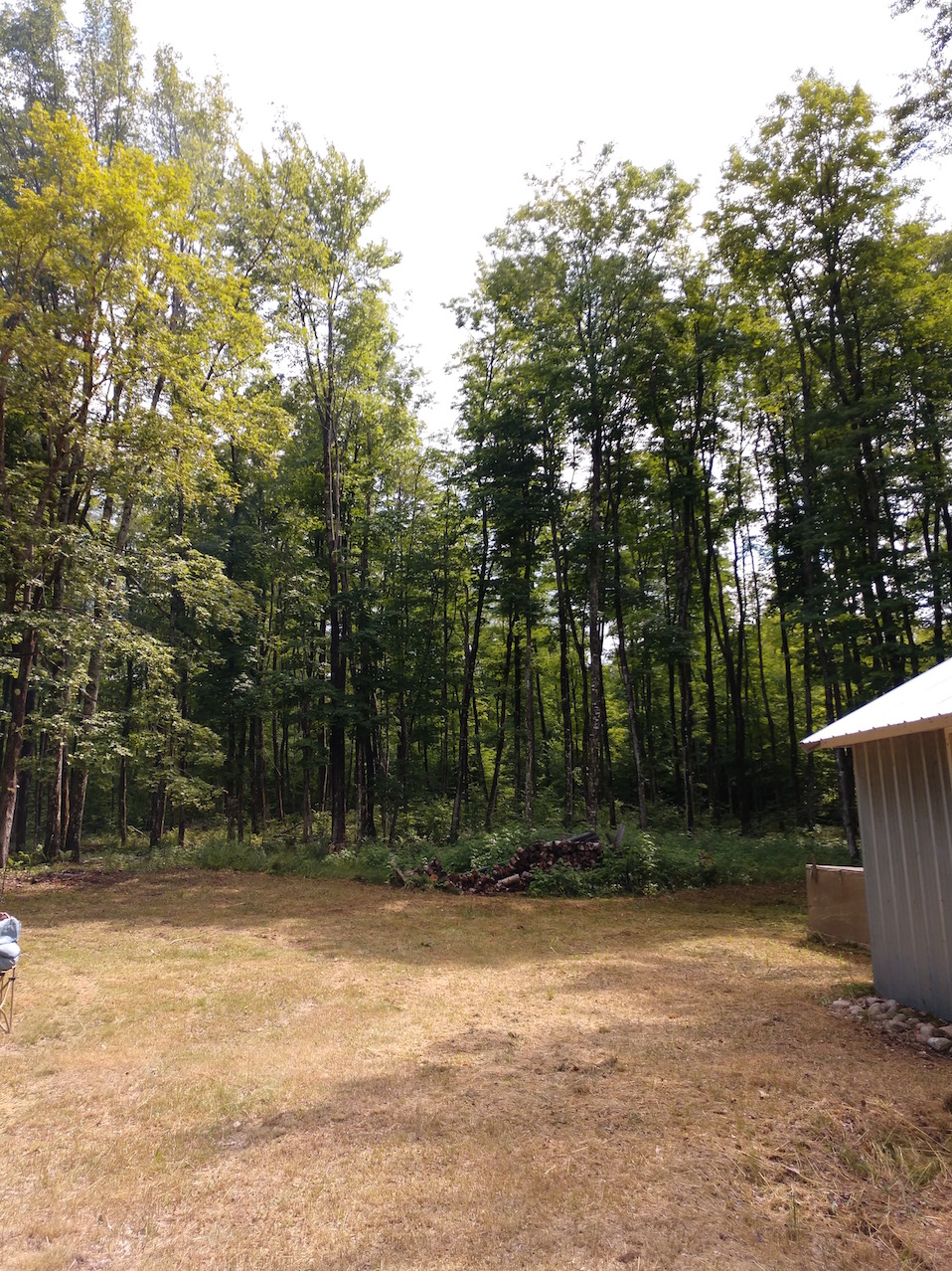 IMG_20190727_153541645