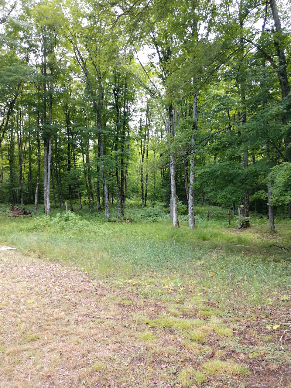 IMG_20190727_153706869