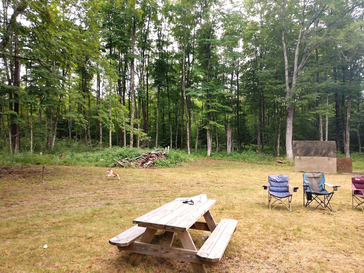 IMG_20190727_161052201