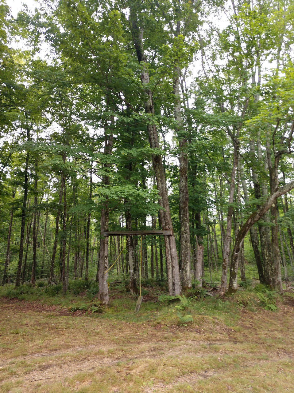 IMG_20190727_161057199